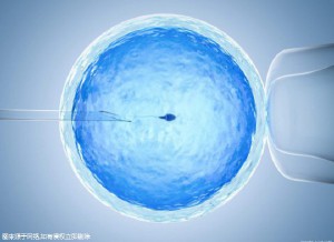 生殖中心环境